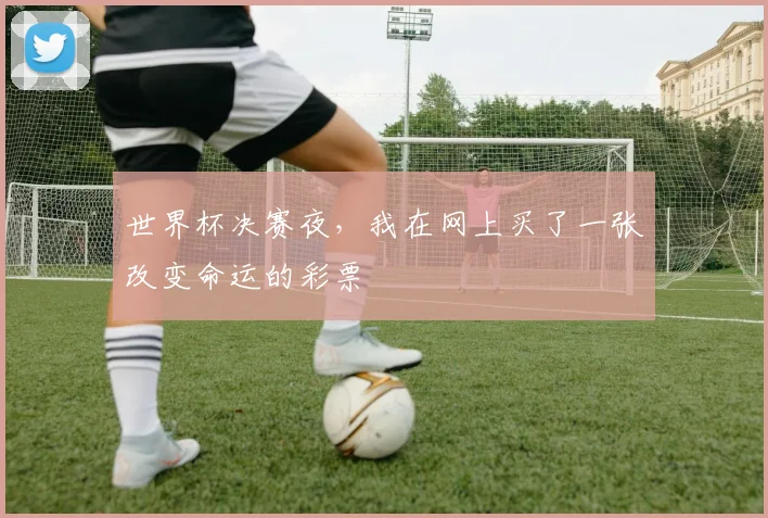 世界杯决赛夜，我在网上买了一张改变命运的彩票