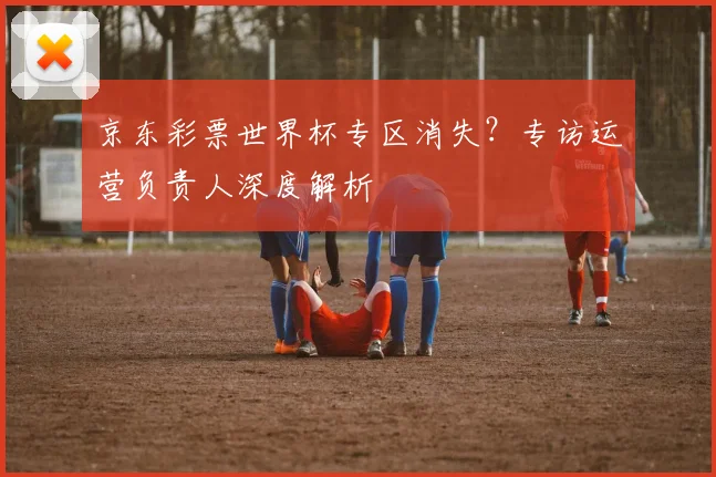 京东彩票世界杯专区消失？专访运营负责人深度解析