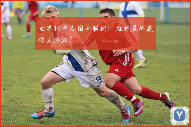 世界杯申办国全解析：谁将最终赢得主办权？