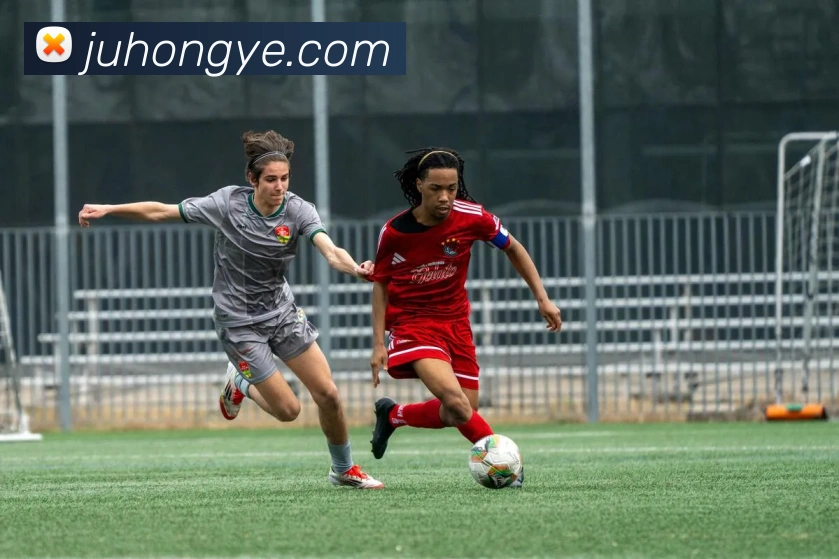 mksports登录入口平台生态图